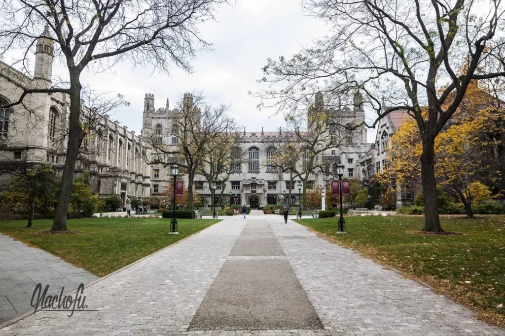 Top Universities for Political Science