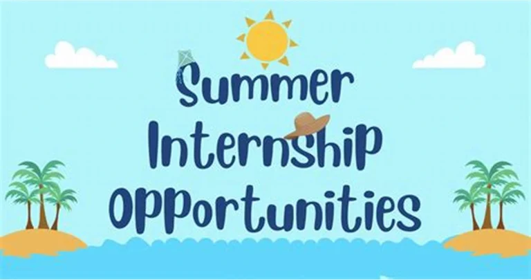 University Summer Internships