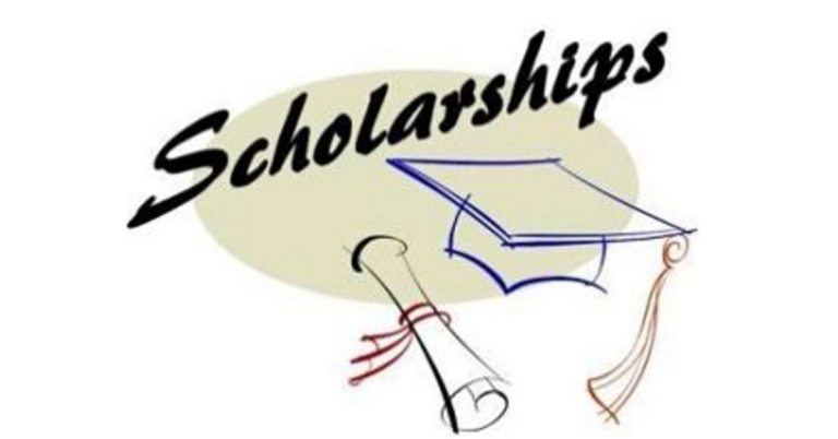 Undergraduate Scholarships for Minorities