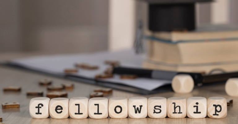 University Fellowship Opportunities