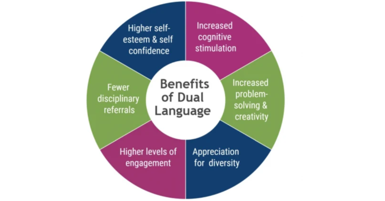 University Language Immersion Programs