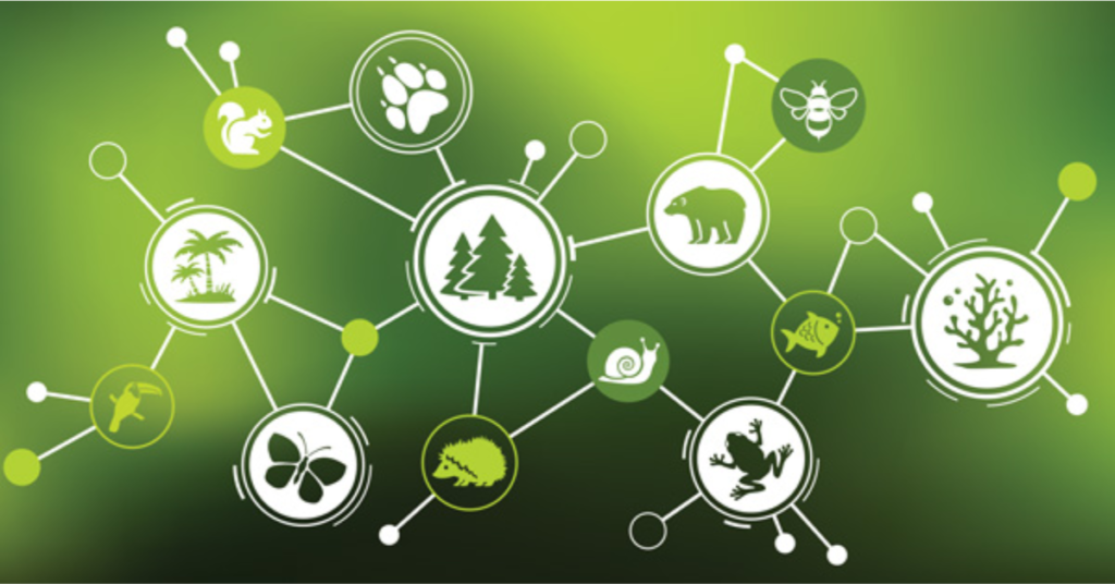 university sustainability research